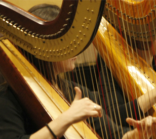 Image for TU Dublin Lecturers Harps of Hope Performance 